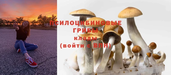 скорость Баксан