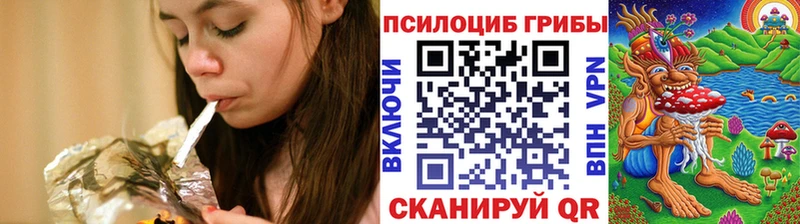 Галлюциногенные грибы Psilocybine cubensis  закладка  Подпорожье 